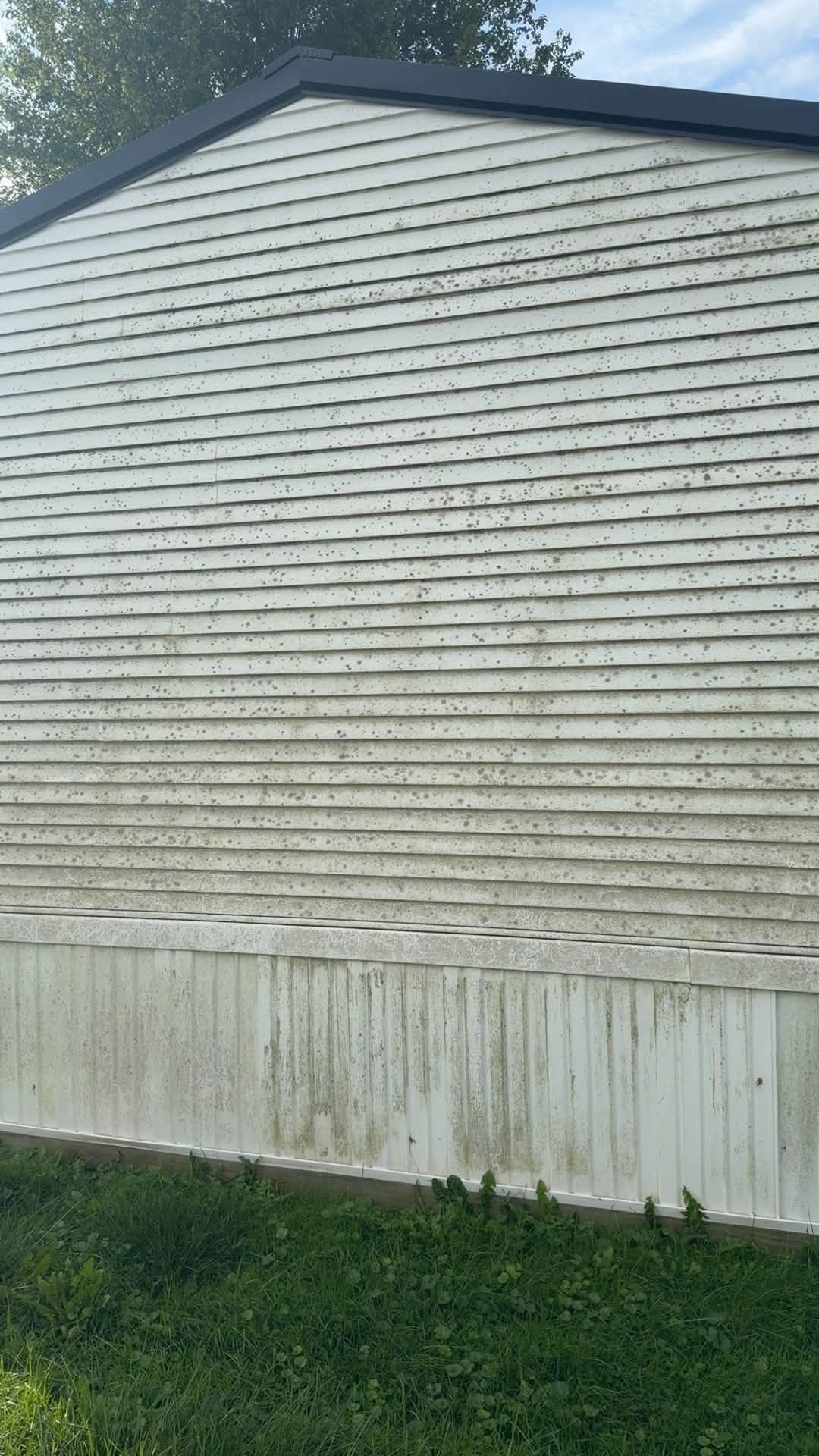 House siding before cleaning, with visible dark buildup